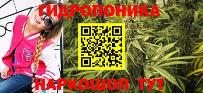 2c-b Кимры