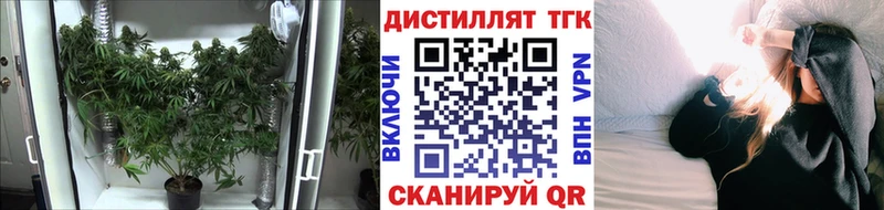 Дистиллят ТГК THC oil блэк спрут ссылки Кисловодск закладки