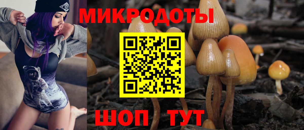 Галлюциногенные грибы GOLDEN TEACHER  Вход с VPN  Кисловодск 