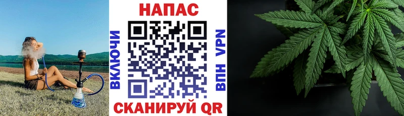 купить наркотик  Кисловодск  Марихуана OG Kush 